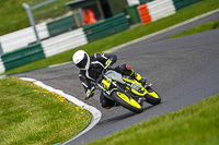 cadwell-no-limits-trackday;cadwell-park;cadwell-park-photographs;cadwell-trackday-photographs;enduro-digital-images;event-digital-images;eventdigitalimages;no-limits-trackdays;peter-wileman-photography;racing-digital-images;trackday-digital-images;trackday-photos